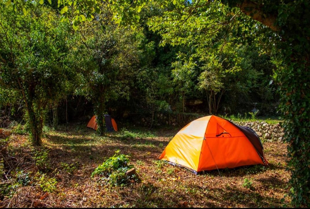 Kamp alanı Auto Camp Radoman Virpazar