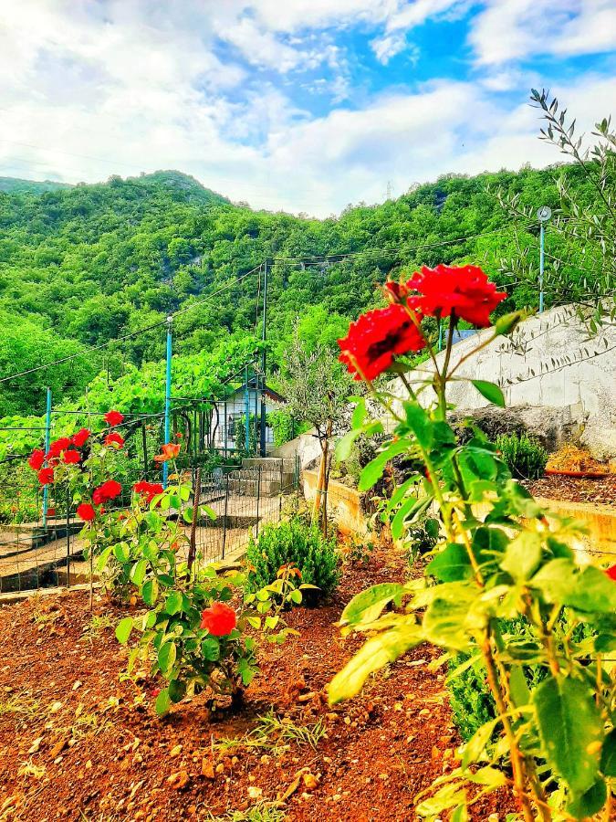 Kamp alanı Auto Camp Radoman Virpazar