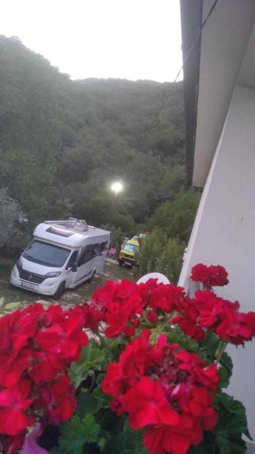 Auto Camp Radoman *