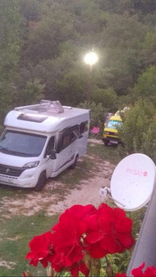 Auto Camp Radoman
