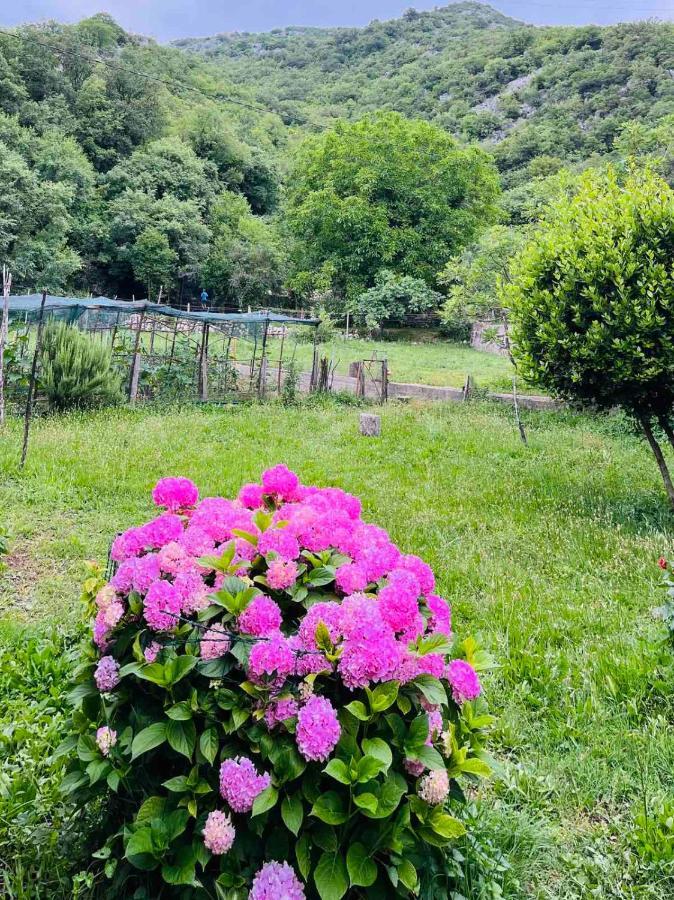 Auto Camp Radoman Virpazar