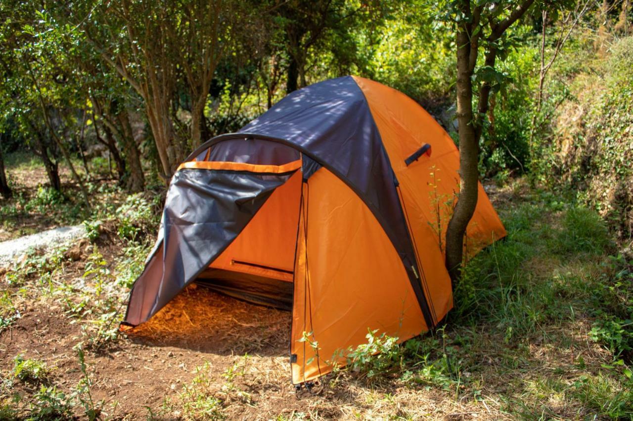 Auto Camp Radoman *